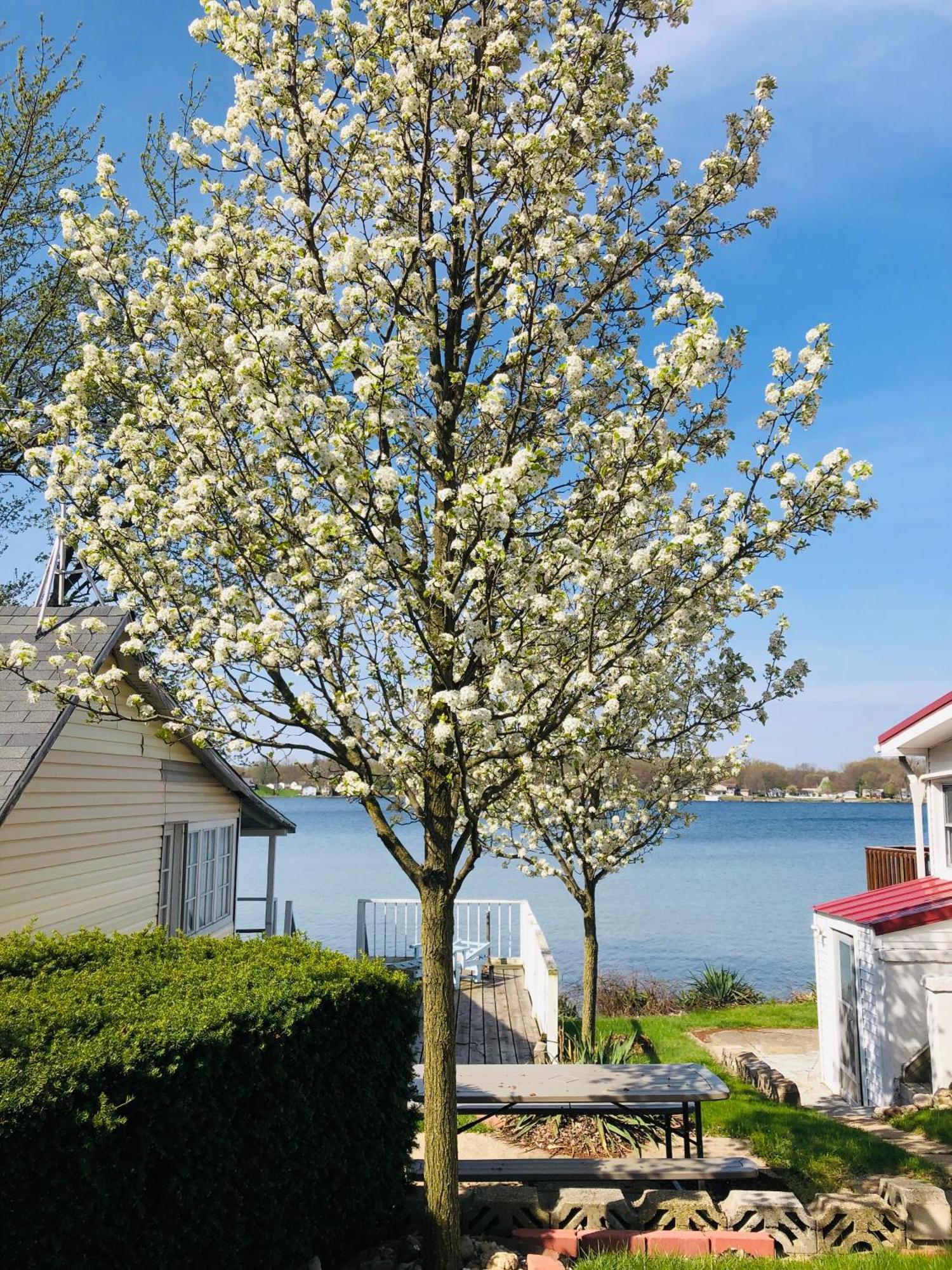The Wellington Lake Cottage Middlebury Luaran gambar